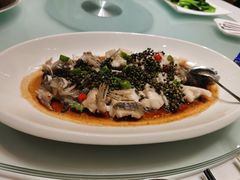 -宝园酒家(美林M·LIVE天地东座店)