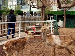 -丽泽山庄·生态怀柔菜·虹鳟鱼(红螺寺店)