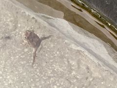 -息烽温泉