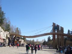 门面-五营红松林海景区