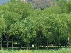 -北坞公园