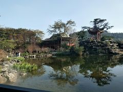 -顺峰山公园