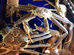 -蟹道乐(道顿堀本店)