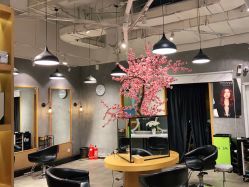 -时尚殿堂明星门店