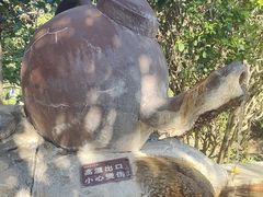 -大理地热国