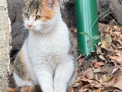 -狼山风景名胜区