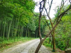 -黄公望隐居地