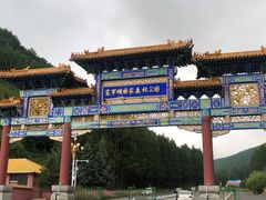 -塞罕坝国家级自然保护区