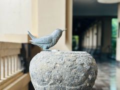 -海南清水湾莱佛士酒店