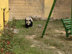 -杭州野生动物世界