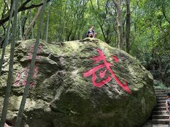 -桃花岛风景旅游区