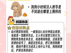 -佩兹宠物医院肿瘤专科·眼科·牙科(黄浦店)