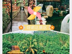 -呀诺达热带雨林