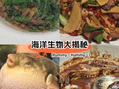 -肆月河豚·淮扬菜·湘菜(华天店)