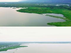 -哈素海