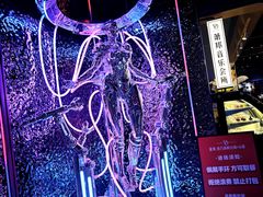 -萧邦音乐会所KTV·蒸汽活海鲜自助(福田店)