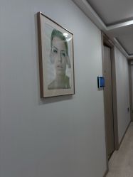-智美品质医美