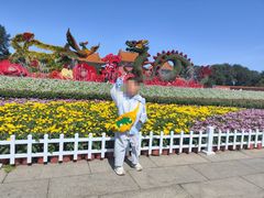 -北陵公园