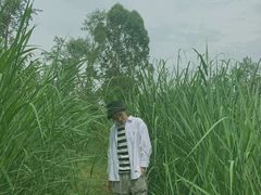 -白鹭湾湿地公园