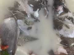 -渔老大·有机鱼馆·老字号(古城店)