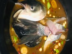 水库胖头鱼-姥家大锅台水库渔家