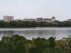 -莲花池公园