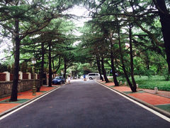 iphone_upload_pic-八大关景区