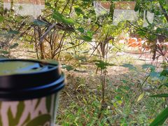 -ZOO COFFEE动物园咖啡(红山森林动物园店)
