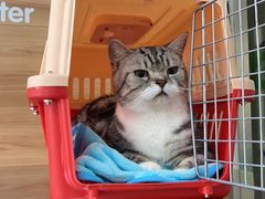 -爱侣宠医·鹦鹉专科·小型哺乳类·异宠专科(灵石路店)