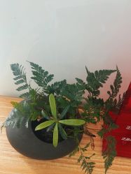 -AIST爱思特医疗美容医院