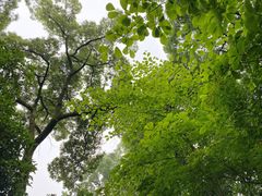 -一江春水·杭帮臻宴(三台山店)