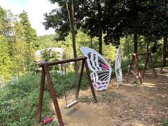 -广州市帽峰山景区