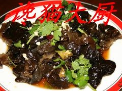 12老醋东北山木耳-向阳屯食村