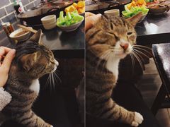 -酒友老火锅(渝中店)