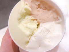 蜜瓜橙花水-Dip in Gelato(富民路店)