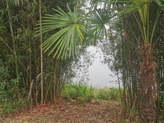 -山湖温泉