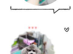 -达爱动物医院·犬猫分区·CT·复杂眼科(远洋山水分院)