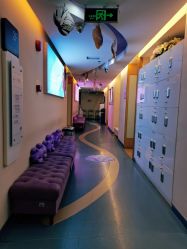 -深圳美莱医疗美容医院