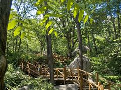 -大岭沟猕猴桃谷风景区