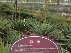 -西安汉城湖景区