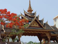 -曼听御花园