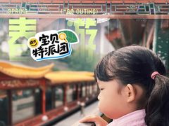 -皇家御河游(紫御湾码头)