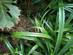 -龙坑生态保护区