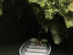 -怀托摩萤火虫洞