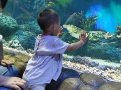 -华夏文旅海洋公园