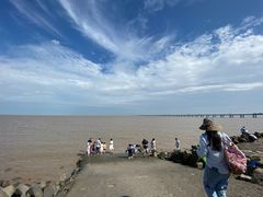 -南汇嘴观海公园