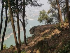 -铁山坪森林公园
