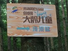 -洛阳白云山景区