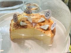 -唐萌街·咖啡·精酿·茶
