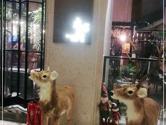 -大书房咖啡(中传国交店)
